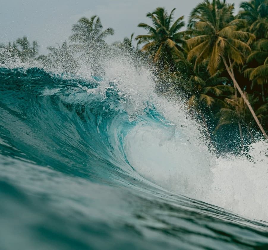 Dropar com Responsabilidade Ambiental: A Onda do Surf Sustentável